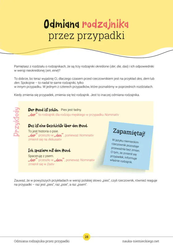 Strona «Odmiana rodzajnika przez przypadki» — wyjaśnia, dlaczego raz jest den, a raz dem (Nominativ, Akkusativ, Dativ)